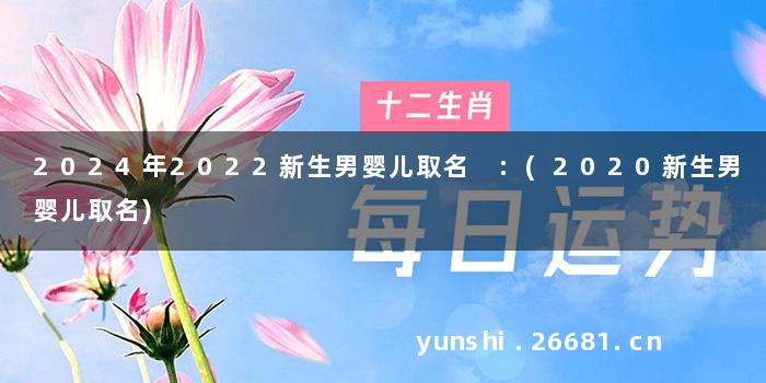 2024年2022新生男婴儿取名 :(2020新生男婴儿取名)